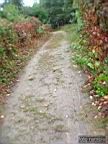 DSCF6823.jpg
