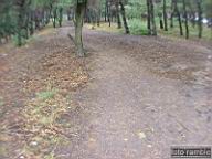 DSCF6846.jpg