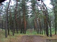 DSCF6874.jpg