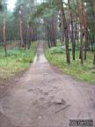 DSCF6876.jpg