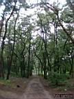 DSCF6881.jpg