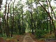 DSCF6888.jpg
