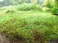 DSCF6900.jpg