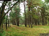 DSCF6905.jpg