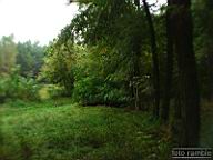 DSCF6911.jpg