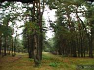 DSCF6915.jpg