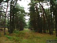 DSCF6916.jpg