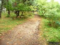 DSCF6927.jpg