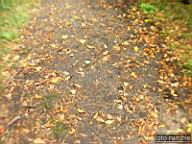 DSCF6929.jpg