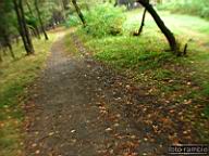 DSCF6934.jpg
