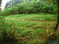 DSCF6935.jpg