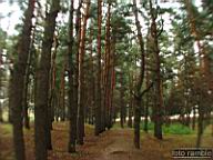 DSCF6942.jpg
