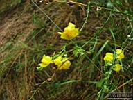DSCF6951.jpg