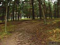 DSCF6968.jpg
