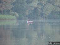 DSCF7340.jpg