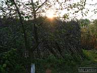 DSCF7362.jpg