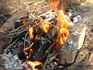 DSCF8034.jpg