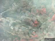 DSCF8060.jpg