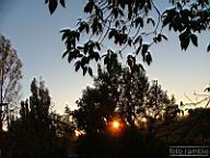 DSCF8100.jpg