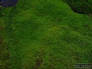 DSCF8287_1.jpg
