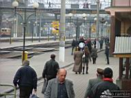 DSCF8516.jpg