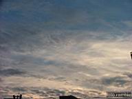 DSCF8578.jpg