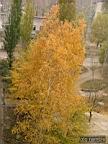 DSCF8886.jpg