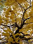 DSCF8889.jpg