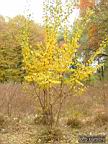 DSCF8915.jpg
