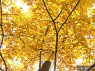 DSCF8916.jpg