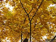 DSCF8917.jpg