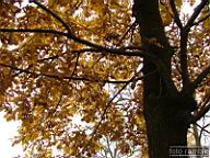 DSCF8918.jpg