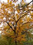 DSCF8920.jpg