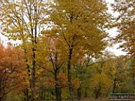 DSCF8930.jpg