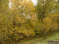 DSCF8944.jpg