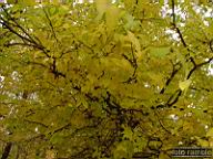 DSCF8957.jpg