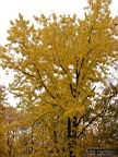 DSCF8969.jpg