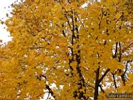 DSCF8973.jpg