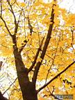 DSCF8978.jpg