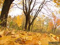DSCF8991.jpg