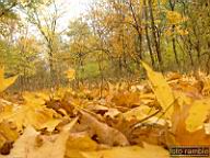 DSCF8994.jpg