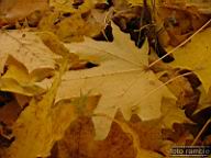 DSCF8997.jpg