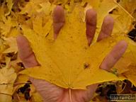 DSCF8998.jpg