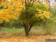 DSCF9007.jpg
