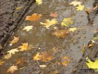 DSCF9014.jpg