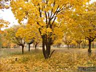 DSCF9017.jpg