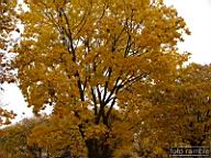 DSCF9018.jpg