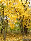 DSCF9020.jpg