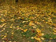 DSCF9021.jpg