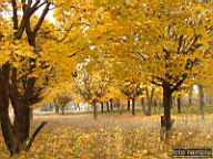 DSCF9023.jpg
